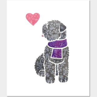 Bouvier des Flandres watercolour Posters and Art